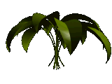 پا sheet ه متحرک-عکسونه-gif